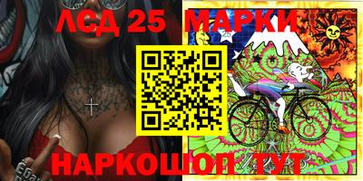 шишки Новозыбков