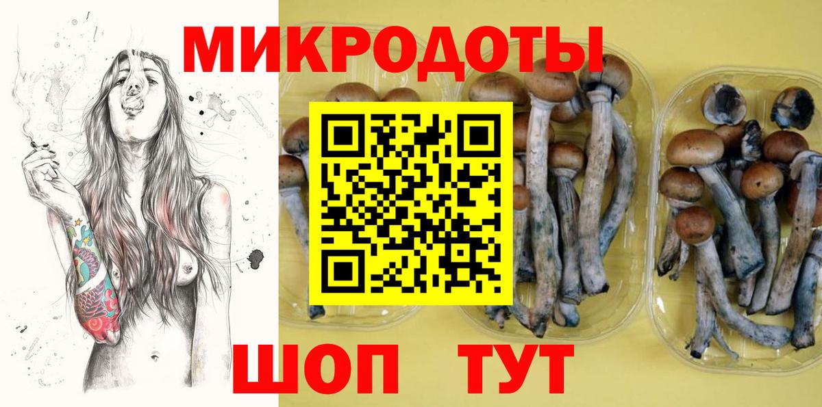 Галлюциногенные грибы Psilocybe  Вход с VPN  Сосновоборск 
