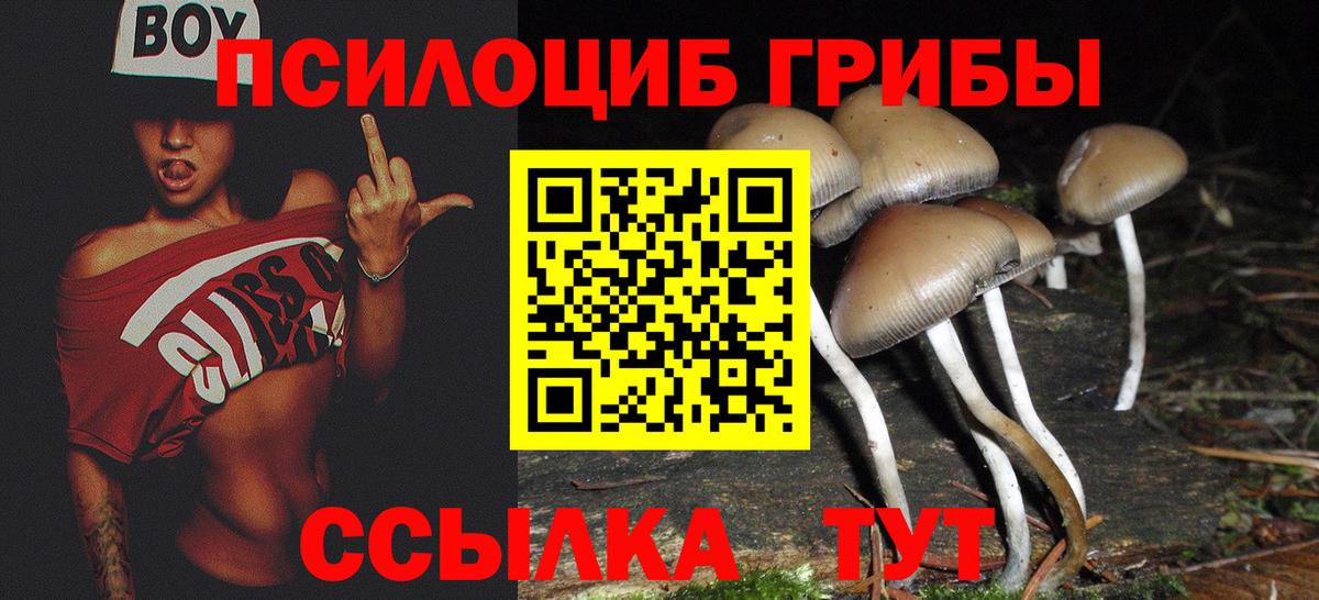 Галлюциногенные грибы MAGIC MUSHROOMS Сосновоборск